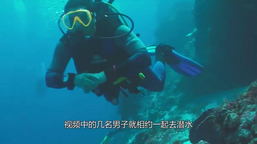 枪血黑手党